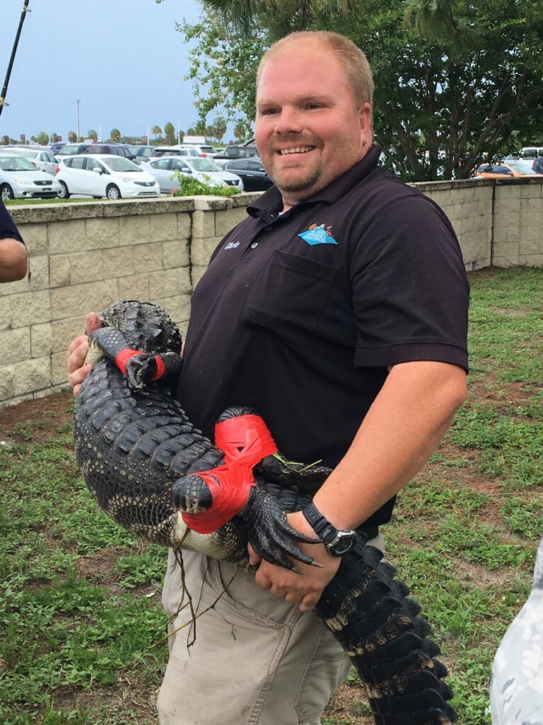 Alligator Removal & Control Tampa FL AAAC Wildlife Removal